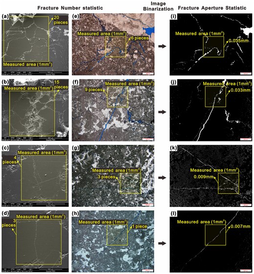 Microscopic fracture characteristics and statistical process at different distances from the fault core, images from (a)–(d) SEM, (e)–(h) thin sections and (i)–(l) Binary images. (a), (e) and (i) are from Sample Car-0; (b), (f) and (j) are from Sample Car-0.1; (c), (g) and (k) are from Samples Car-3; and (d), (h) and (l) are from Sample Car-5.