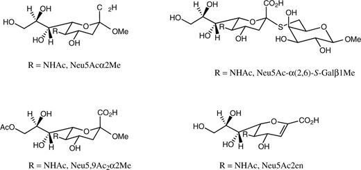 Structures of the N-acetylneuraminic acid derivatives Neu5Acα2Me, Neu5Ac-α(2,6)-S-Galβ1Me, Neu5,9Ac2α2Me, and Neu5Ac2en, which were used in the analysis.