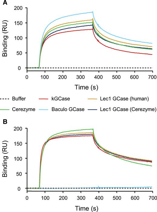 Receptor binding. SPR was used to measure binding of the different preparations of GCase to soluble forms of mannose receptor (A) and M6P receptor (B) that had been covalently immobilized on a Biacore CM5 chip (2000–3000 RU each) as described in Materials and methods section. For each of the analyses, the concentration of GCase was 100 nM in Hepes-buffered saline buffer, pH 7.0 (Biacore) containing 10 mM CaCl2.