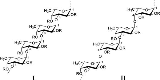 Two types of homofucose backbone chains in brown seaweed fucoidans. Chains (I) are constructed only of repeating (1 → 3)-linked α-l-fucopyranose residues whereas chains (II) contain alternating (1 → 3)- and (1 → 4)-linked α-l-fucopyranose residues. R depicts the places of potential attachment of carbohydrate (α-l-fucopyranose, α-d-glucuronic acid) and non-carbohydrate (sulfate and acetyl groups) substituents.