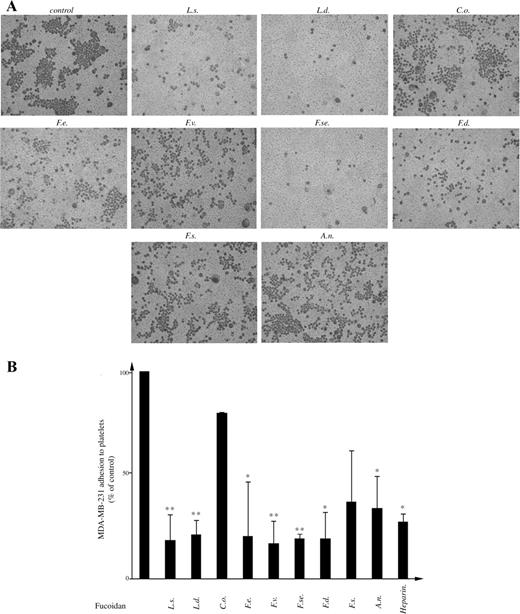 Effect of fucoidans on breast cancer cell adhesion to platelets. (A) The MDA-MB-231 cells were preincubated with fucoidans prior to exposure to platelet-coated plates. Photographs are representative of at least three independent experiments. (B) Quantification of cell adhesion was performed by counting cells adhered to at least three different fields. The results were expressed as % of treated sample in respect to control **P < 0.01 and *P < 0.05.