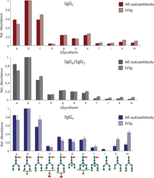 Differential, subclass-specific glycosylation profiling of the Aβ autoantibody constant region compared to IVIg: top – IgG1, middle – IgG2/IgG3, and bottom – IgG4. The profile for each IgG subclass was determined for the 11 most abundant glycoforms relative to the abundance of G0F glycoform within each subclass. The structure of each glycoform is depicted at the bottom; the one letter annotation is identical with that used in Figure 6 and Table II. Bar code: full bars – Aβ autoantibody; striped bars – IVIg.