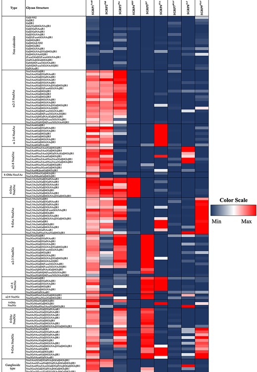 Sialoglycan microarray binding studies of proposed SGRPs. Heatmap analysis of SGRPs (see Table I for details of nomenclature) binding to mammalian (sialo) glycans; SGRP1YenB (30 μg/ml), SGRP2PltB (30 μg/ml), SGRP3Hsa (30 μg/ml), SGRP4MHV (30 μg/ml), SGRP5IgY (20 μg/ml), SGRP6SNA (20 μg/ml), SGRP7BCoV (60 μg/ml), SGRP8TeT (30 μg/ml), and SGRP9PToV (30 μg/ml) in microarray experiments. SGRPs binding efficiencies are displayed in red for highest binding (saturated or 100%), blue for minimum or no binding (0%), and intermediate binding represented by colors ranging between blue and red. Ranks; red (100%, or maximum), blue (0%, or minimum). Markedly reduced or absent binding was seen with the no-binding control probes studied simultaneously (see Fig. S4, see online supplementary material for a color version of this figure).