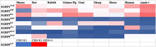 SGRPs recognize specific sialoglycans on mammalian erythrocytes. Comprehensive heat map representation of SGRP’s binding to mammalian erythrocytes and CHO-K1 cell line (SGRP8Tet); colors red and blue represent maximum and minimum binding efficiencies, respectively. The heat map represents the comprehensive binding pattern of SGRPs (5 μg/ml) to mammalian erythrocytes and CHO-K1 cell line (SGRP8Tet). SGRPs binding efficiencies are shown in red for highest binding (saturated or 100%), blue for minimum or no binding (0%), and intermediate binding represented by cells displaying colors between blue and red. As consistent with sialoglycan microarray data, no-binding control probes demonstrated significantly reduced or no binding in the same experiment.