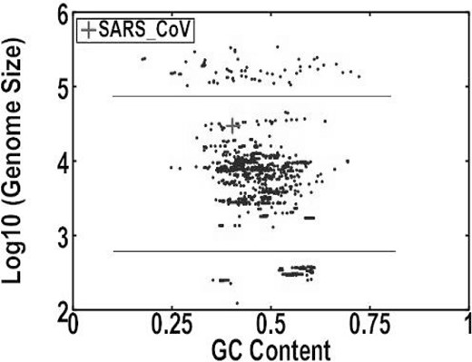 Comparison of the GC content and genome size between SARS-CoV with other viruses.