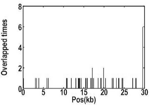 Conservative map created by comparing the SARS-CoV genome sequence against a database of non-coronaviruse sequence. Only the comparison result with segment length greater than 20 nt was extracted.