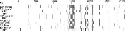 Homology comparison of BJ01 with other coronaviruses. The darkness of a pixel corresponds to the strength (identities value) of the match between a SARS-CoV fragment and a coronavirus genome, and the width of rectangle corresponds to the length of the match.