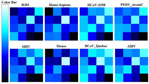 Dinucleotide motif frequency profile. The darkness of a pixel corresponds to the frequency. The darker the pixel shows, the greater the frequency is.