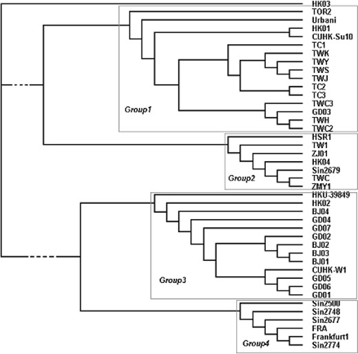 The phylogenetic tree of 42 SARS-CoV isolates with every sequence being constructed by the nucleotides of the 338 substitution sites.