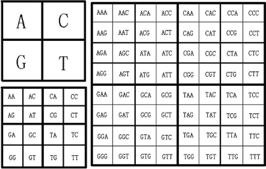 CGR arrangement of motif or codon.