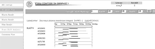 Graphical detail-alignment view. This view shows directly the alignment result between contigs and BLAST database hits. Each line means one hit and each arrowed line indicates an HSP with its orientation. The mouse over event would bring up detailed text boxes for the information of score, length, start, end, etc. of each hits or HSP.