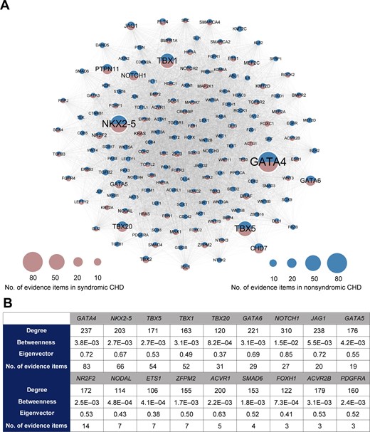 Network-based prioritization of CHD-related genes A. The k-core of CHD-related genes (n = 163). The node size is proportional to the number of supporting evidence items for each gene. B. For 18 core genes overlapping with the high-confidence CHD genes recurrently reported in recent reviews, the degree, betweenness centrality, eigenvector centrality, and the number of supporting evidence items for each gene are listed.