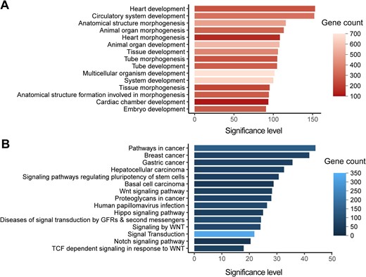 Functional enrichments of CHD-related genes A. The top 15 significantly enriched GO terms for CHD-related genes (n = 1124) are shown with significance levels. B. The top 15 significantly enriched KEGG and Reactome pathways for CHD-related genes (n =1124) are shown with significance levels. The adjusted P values corrected with Bonferroni step down were – log10 transformed to denote the significance levels. GO, Gene Ontology; KEGG, Kyoto Encyclopedia of Genes and Genomes; TCF, T-cell factor; Wnt, wingless-type MMTV integration site family; GFR, growth factor receptor.