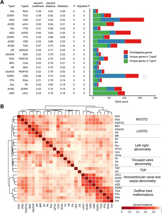 CHD classification based on genotype – phenotype correlations A. Jaccard coefficient, Jaccard distance, statistical significance for Jaccard coefficient, and gene distribution are shown for 20 pairs of CHD types with the strongest correlations. The centered Jaccard coefficient equals to the Jaccard coefficient minus the unbiased estimation of expectation. P and Adjusted P were calculated with the Jaccard test and corrected for multiple testing using the Benjamini–Hochberg false discovery rate. B. Classification of 27 CHD types in CHDbase. Only CHD types associated with at least ten genes were included in this analysis. Jaccard distances for all pairs of CHD types are shown in a heatmap, which were further used to classify these CHD types into seven major groups through hierarchical cluster analysis. For each group, the anatomical term is defined and shown. POF, patent oval foramen; PDA, patent arterial duct; PS/PVS, pulmonary stenosis/pulmonary valve stenosis; BAV, bicuspid aortic valve; AS/AVS, aortic stenosis/aortic valvar stenosis; AR, aortic regurgitation; MR, mitral regurgitation; SV, single ventricle; PA, pulmonary atresia; Dxc, dextrocardia; APVC, anomalous pulmonary venous connection; CoA, coarctation of the aorta; VCAb, vena cava abnormality; TA, tricuspid atresia; TR, tricuspid regurgitation; EA, Ebstein malformation of the tricuspid valve; TOF, tetralogy of Fallot; OA, overriding aorta; cAVJ, common atrioventricular junction; AVSD, atrioventricular septal defect; VSD, ventricular septal defect; ASD, atrial septal defect; DORV, double-outlet right ventricle; TGA, transposition of the great arteries; PTA, persistent truncus arteriosus; RAA, right aortic arch; IAA, interrupted aortic arch; RVOTO, right ventricular outflow tract obstruction; LVOTO, left ventricular outflow tract obstruction.