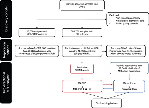 Flowchart describing the study design