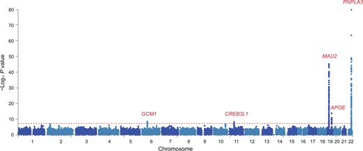 Manhattan plot showing meta-analysis results of MRI-PDFF GWASs in UKBB