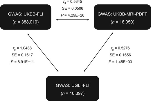 Genetic correlation with LD regression of MRI-PDFF and FLI traits from UKBB and UGLI