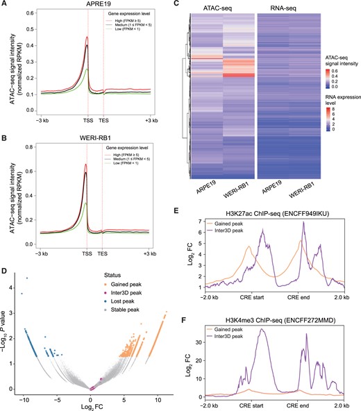 Characterization of a 3D epigenetic regulatory map conjugating TAD reorganization