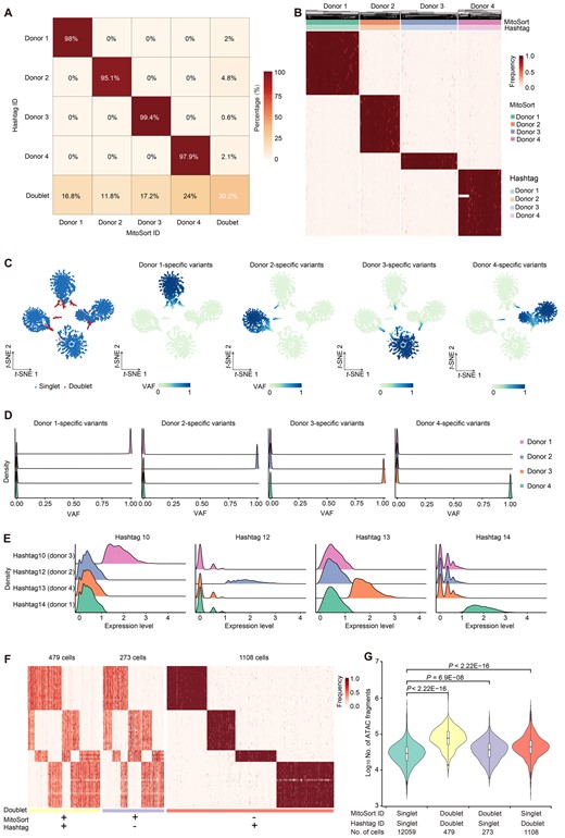 Evaluation of MitoSort using cell hashing data