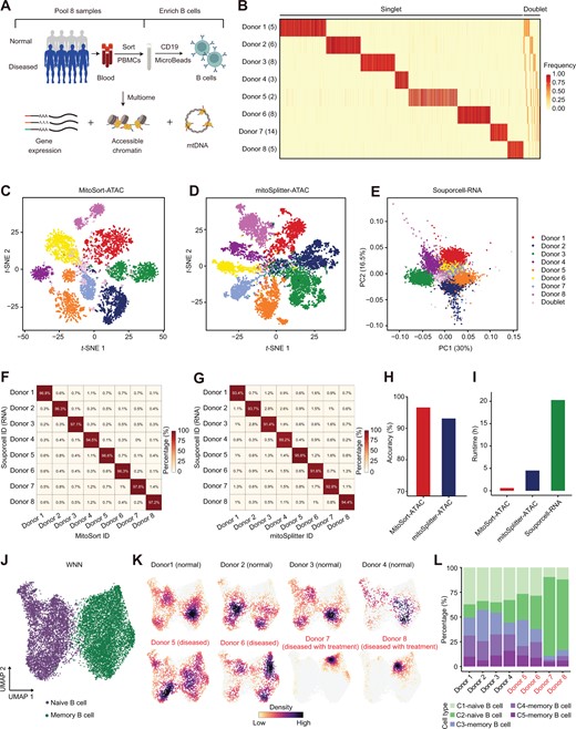 Multi-omic analysis based on MitoSort-identified depletion of B cells in RTX-treated patients