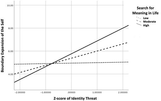 The moderating effect of search for meaning in life.