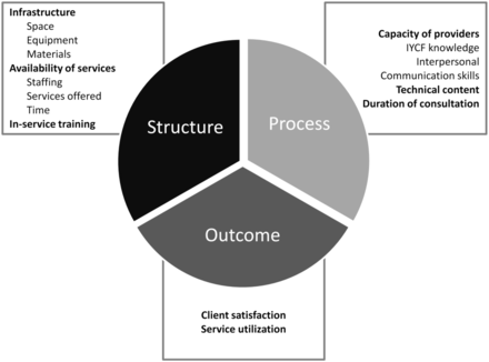 Conceptual framework for assessing quality of care.