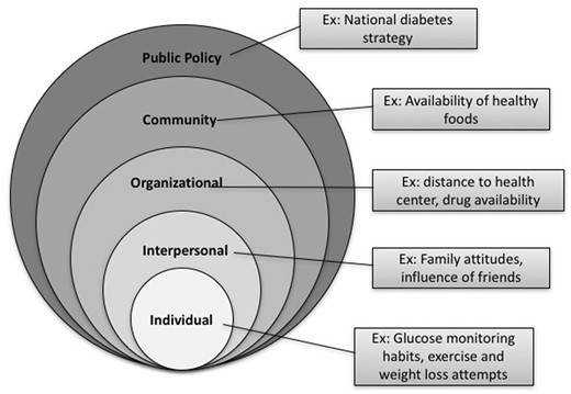 Ecological framework for diabetes