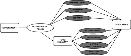 Flow diagrame illustrating the factors influencing the impact of policy before it reaches consumers