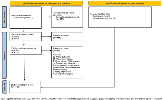 PRISMA flow diagram for the scoping review.