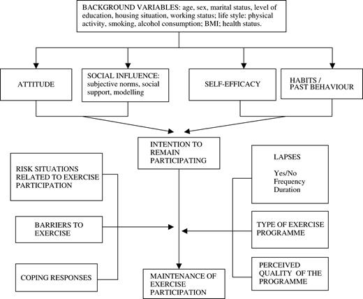 The adapted planned behavior model used in this study based on (1) Social Learning Theory (Bandura, 1986), (2) the Theory of Planned Behavior (Ajzen, 1991; Ajzen and Driver, 1992), (3) the model of past behavior (Triandis, 1977, 1979) and (4) the Relapse Prevention model (Marlatt and Gordon, 1980, 1985).