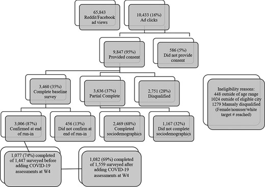 Participant recruitment flowchart.