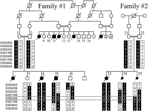 Figure 2. Pedigree of the large family originating from Lebanon with multiple offspring affected by Pierson syndrome (family 1) and the results of haplotype analysis of eight polymorphic microsatellite markers on 3p in one branch of this family and a consanguineous Turkish couple with three affected children (family 2). Numbered family members (1–16,21–25) were available for linkage studies. The shared disease-associated haplotypes are represented by a black background. The homozygous interval in family 1 and recombination in patient 25 define the centromeric and telomeric boundaries, respectively (indicated by dotted lines).