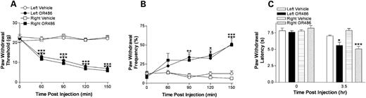 Figure 5. The effect of COMT inhibition on rat pain behavior. Baseline sensitivity to mechanical stimuli was estimated by measuring both threshold ( A ) and frequency ( B ) of paw withdrawal. Sensitivity to thermal stimuli was estimated by measuring latency of paw withdrawal ( C ). After establishing baseline sensitivity, animals received the COMT inhibitor OR486 (30 mg/kg i.p.) or vehicle 1 h prior to testing. Data are expressed as mean±SEM. *** P <0.001, ** P <0.01 and * P <0.05 different from the control conditions by ANOVA and Bonferroni post hoc tests. N =8 rats per group. 