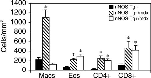 图2。nNOS转基因表达可降低Mdx心脏炎症。心脏组织中炎症细胞的浓度。巨噬细胞；嗜酸性粒细胞；CD4+、CD4+T细胞；CD8+、CD8+T细胞。n=每组5只动物。星号表示与对照组相比有显著差异，P<0.05。误差条代表SEM。