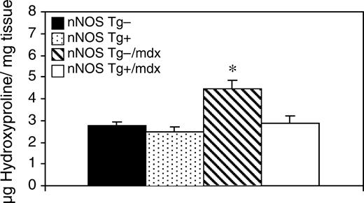 图4。使用nNOS转基因的mdx小鼠可以预防心脏纤维化。心脏中结缔组织的浓度。n=每组5只小鼠。星号表示与对照组相比有显著差异，P<0.05。误差条代表SEM。