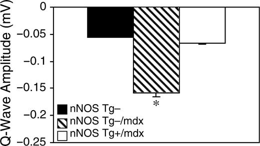 图7。心脏表达nNOS转基因的mdx小鼠的Q波振幅正常化。n=每组3只小鼠。星号表示与对照组相比有显著差异，P<0.05。误差条代表SEM。