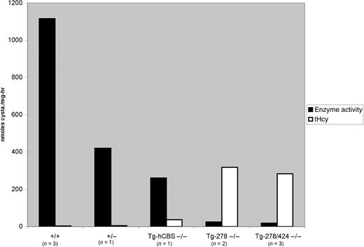 Figure 6. Liver CBS enzyme activity. Extracts from mice of the indicated genotype were assessed for CBS enzyme activity, shown on the left Y-axis. The right axis shows the same animals tHcy levels.