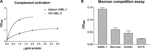 Figure 6. Recombinant baboon MBL-1 complement activity and binding specificity. (A) Complement activity of recombinant baboon MBL-1 and purified serum MBL-2 from SSI was measured by C4 deposition and registered by OD490 in ELISA. (B) The sugar binding specificity of recombinant baboon MBL-1 was measured by a decrease in complement activity using a mannan-competition assay. Baboon rMBL-1 was either added directly to mannan-coated wells or pre-incubated with either 100 mm mannose, 100 mm GlcNAc or 10 mm EDTA. The data are based on triplicate experiments.