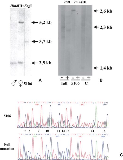 Figure 1. Southern blot analysis and bisulphite sequencing of the FMR1 promoter region. (A) Assessment of size and methylation by Southern blot analysis, using the Ox1.9 probe on a double digestion with restriction enzymes HindIII and EagI. A normal male (first lane) shows a 2.5 kb band, whereas a normal female (second lane) shows an additional band at 5.2 kb, corresponding to the methylated FMR1 gene on the inactive X chromosome. Cell line 5106 (third lane) has a single band at ∼3.7 kb, corresponding to an unmethylated full mutation with ∼400 CGG repeats. (B) Indirect assessment of the extent of methylation in the expanded CGG repeat by Southern blot analysis, using as probe the XhoI–PstI fragment corresponding to positions 13898–14462 of GenBank sequence L29074. Odd and even lanes correspond to DNA samples digested with PstI alone (−) or PstI and Fnu4HI (+), respectively. Lanes 1 and 2 correspond to a fragile X male (full), lanes 3 and 4 and lanes 5 and 6 correspond to the 5106 and a control (C) cell lines, respectively. (C) Partial sequence of the FMR1 promoter region of 5106 (top) and of a full mutation cell line (bottom), from CpG site 7 to 15. CpG sites are numbered as in (28). After bisulphite treatment the cytosines of the CpG sites were transformed into thymines in the unmethylated 5106, whereas in the methylated full mutation cell line they remained unmodified.