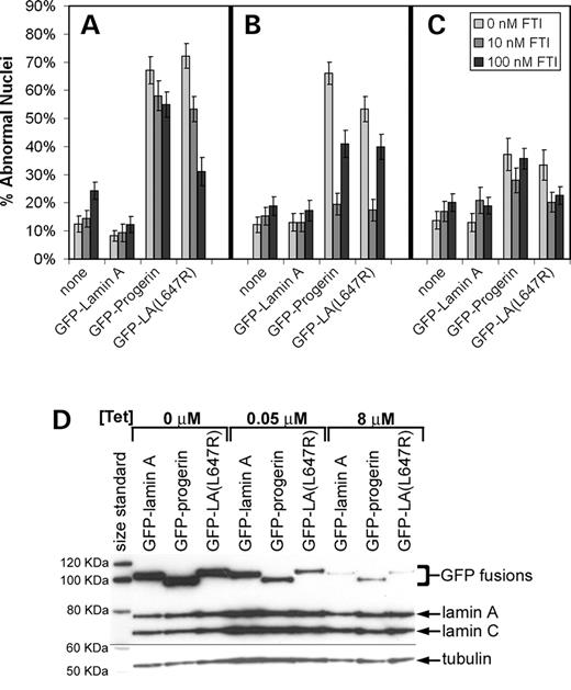 Figure 4. The effect of the FTI, PD169451, on the nuclear morphology of normal fibroblasts (GM08398) stably expressing GFP–lamin A, GFP–progerin and GFP–LA (L647R) using a retroviral Tet-off system (Clontech). Fibroblasts were maintained in medium with 0, 10 or 100 nm FTI for six days. Cultures were plated in chambered microscope slides 24 h prior to fixing with 4% paraformaldehyde for nuclear morphology studies. Cells were maintained in three predetermined tetracycline concentrations, 0 µm for full expression (A), 0.05 µm for intermediate expression levels (B), and 8 µm for very low expression levels (C). Using a Tet-off system allowed for modulation of expression levels with tetracycline concentration as demonstrated by immunoblot of cells from the previous experiment (D). When GFP–progerin and GFP–LA (L647R) mutant was stably expressed in normal fibroblasts at intermediate levels (0.05 µg/ml tetracycline), 10 nm FTI substantially reduced the percent abnormal nuclei by 71% and 67%, respectively (P<0.0001) (B). Analysis of nuclear morphology was performed in a double-blinded fashion with at least 70 cells analyzed per sample.
