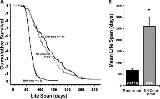 Figure 5. ( A ) Cumulative survival curves of B6-  Mnm C nmd  mice without CAST-derived cardiac modifiers and Cmn-nmd mice segregating modifier QTLs at the N2–N3 generations. (B) Mutant nmd mice heterozygous for Cmn1, Cmn2 and Cmn3 loci at the N4 backcross generation lived significantly longer than B6-  Mnm C -nmd  mice (* P <0.0001). 