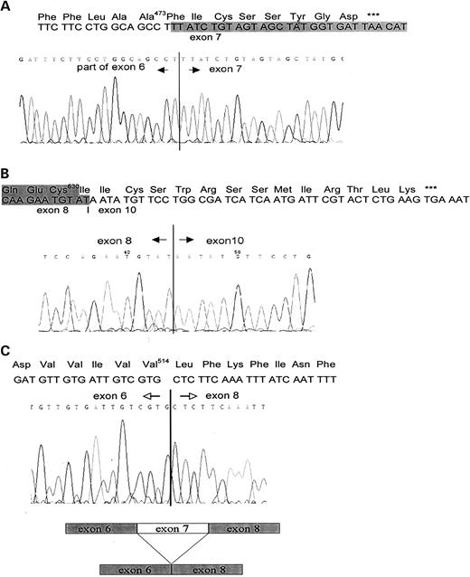 Figure 2. Sequencing analysis of Pkd2/PKD2 alternate splice forms: ( A ) Pkd2Δ6; ( B ) Pkd2Δ9; ( C ) Pkd2Δ7. 
