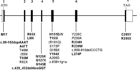 Figure 2.RDH12 gene structure and patient mutations associated with childhood-onset severe retinal dystrophy. The coding regions of the seven exons are shown as filled boxes and untranslated regions are shown as open boxes. Nucleotide numbering starts with the A of ATG as number 1. Mutations newly identified in the present study are in bold, mutations identified in our previous study ( 4 ) are in regular font and mutations unique to the study by Perrault et al . ( 5 ) are in italics. The commonly occurring p.R161Q polymorphism is shown in parentheses. 