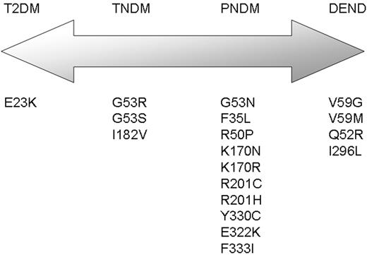 Figure 5. Schematic representation of the spectrum of clinical presentations of diabetes associated with mutations in the KCNJ11 gene. T2DM, type 2 diabetes; TNDM, transient neonatal diabetes; PNDM, permanent neonatal diabetes; DEND, developmental delay, muscle weakness, epilepsy, dysmorphic features and neonatal diabetes. Mutations shown are taken from Refs. (12–16).