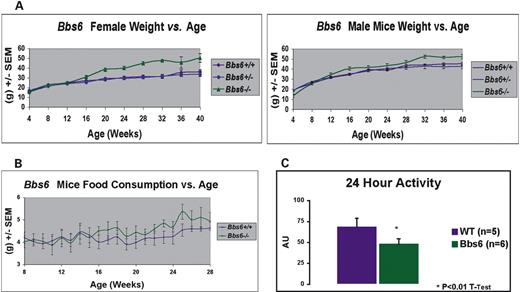 Figure 2. Weight gain and food consumption of wild-type, Mkks+/− and Mkks−/− mice. (A) Weight gain in female and male mice versus age. A minimum of seven animals was included in each group. MKKS−/− mice had lower birth weights than Mkks+/− or Mkks+/+ mice but by week 16 were significantly heavier. (B) Food consumption for male and female mice, averaged every 7 days. A minimum of six animals was included in each group. Mkks−/− mice consume significantly more food than Mkks+/+ and Mkks+/− mice. (C) Twenty-four hour activity data as measured by telemetry. Mkks−/− mice exhibit significantly less locomotion when compared with wild-type.
