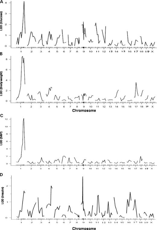 Figure 2. Genome-wide analyses for main effect loci affecting plasma glucose levels ( A ), body weight ( B ), SAP component ( C ) and plasma insulin levels ( D ) of female F2 mice between B6.apoE −/− and C3H.apoE −/− mice using the R/qtl program. Two hundred and thirty-four female F2 mice were fed the western diet for 12 weeks and typed for genetic markers spanning the genome and for the phenotypes. Chromosomes 1 through X are represented numerically on the X -axis. The relative width of the space allotted for each chromosome reflects the relative length of each chromosome. The Y -axis represents the LOD score. 