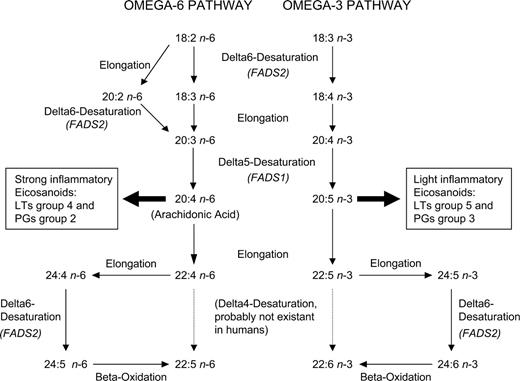 Figure 1. Metabolic pathway of long-chain omega-6 and omega-3 PUFAs in humans. Dashed arrows indicate the absence of the respective derivatization steps in humans.