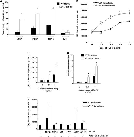 Quantification of the concentrations of profibrotic growth factors in MCCM and the effect of TGF-β on fibroblast proliferation, collagen synthesis and migration. (A) The concentration of murine bFGF, PDGF-AB, TGF-β and IL-6 in WT and Nf1+/− MCCM was determined by ELISA. Results represent the mean±SEM of five independent cultures. *P<0.001 for Nf1+/− versus WT MCCM by Student's t test. (B) About 104 WT or Nf1+/− fibroblasts were starved, stimulated with indicated concentrations TGF-β and [3H]thymidine incorporation was measured. Results represent the mean±SEM of three replicates from one of five independent experiments with similar results. *P<0.01 for Nf1+/− versus WT fibroblast proliferation. (C) Collagen synthesis of WT and Nf1+/− fibroblasts was examined by [3H]proline incorporation in response to 1 ng/ml TGF-β. Results represent the mean±SEM of three replicates from one of five independent experiments with similar results. *P<0.001 for comparison of Nf1+/− versus WT fibroblasts. In five independent experiments, Nf1+/− fibroblasts had a 2.7±0.4-fold increase in [3H]proline incorporation at the 0.1 ng/ml concentration of TGF-β and a 2.2±0.1-fold increase in [3H]proline incorporation in response to 1.0 ng/ml of TGF-β when compared with WT controls. (D) TGF-β-mediated fibroblast migration was measured by a wound healing assay. Data represent mean±SEM of three replicates from one of five independent experiments with similar results. *P<0.01 comparing migration of Nf1+/− fibroblasts with WT fibroblasts in response to TGF-β. In five independent experiments, Nf1+/− fibroblasts had a 2.8±0.4 and a 2.3±0.3-fold increases in migration at the 0.1 and 1 ng/ml concentrations of TGF-β when compared with WT fibroblasts. (E) About 5×104 WT and Nf1+/− fibroblasts were pre-incubated with a neutralizing antibody to TGF-β or vehicle, stimulated with 1 ng/ml of TGF-β or MCCM and [3H]proline incorporation was measured. Results represent the mean±SEM of three replicates from one of five independent experiments with similar results. *P<0.01 comparing TGF-β-stimulated proline incorporation of Nf1+/− fibroblast with WT fibroblasts in the absence of TGF-β neutralizing antibody. **P<0.01 comparing proline incorporation of Nf1+/− fibroblasts or WT fibroblasts in the presence of TGF-β neutralizing antibodies with genotype equivalent controls treated with vehicle only following TGF-β stimulation. ***P<0.01 comparing proline incorporation of Nf1+/− fibroblasts with proline incorporation of WT fibroblasts in response to Nf1+/− MCCM. ****P<0.01 comparing Nf1+/− MCCM-mediated proline incorporation of Nf1+/− fibroblasts in cultures containing TGF-β neutralizing antibodies versus vehicle control. In five independent experiments, there was a 2.4–2.5±0.3 fold increase in [3H]proline incorporation in Nf1+/− fibroblasts when compared with WT fibroblasts following TGF-β stimulation or Nf1+/− MCCM stimulation. The increase in Nf1+/− MCCM-mediated [3H]proline incorporation was reduced to background levels in the presence of the anti-TGF-β antibody (1.1±0.1).