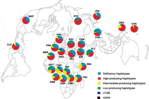 Worldwide distribution of MBL2 secretor haplotypes. Population codes are as reported in Table 1. Each secretor-haplotype segment in the pie chart (illustrated in different colors) is partitioned to reflect the internal degree of haplotype diversity. LYQB and HXPA are functionally uncharacterized haplotypes identified in this study.