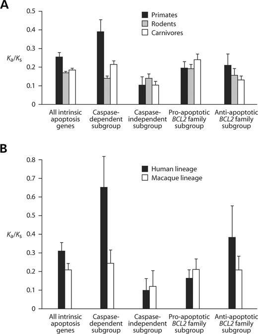 Comparing evolutionary rates of intrinsic apoptosis genes in diverse mammals. ( A ) Comparison among primates, rodents and carnivores. Intrinsic apoptosis genes are considered as a whole as well as subdivided into several constituent groups. ( B ) Comparison between the human lineage and the macaque lineage since their divergence from their common ancestor.